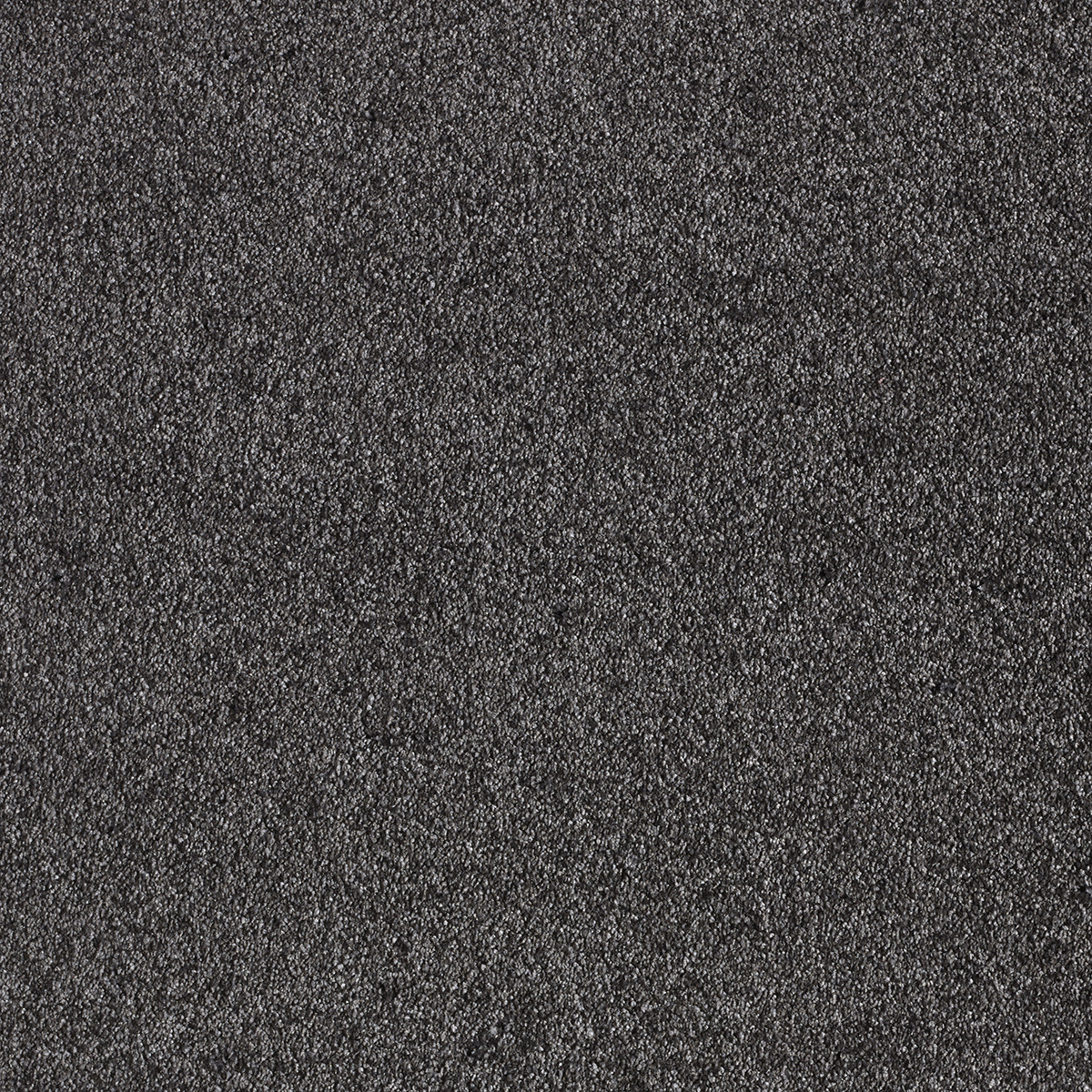 Ковролин AW Sensualite Sensation (Сенсатион) 99