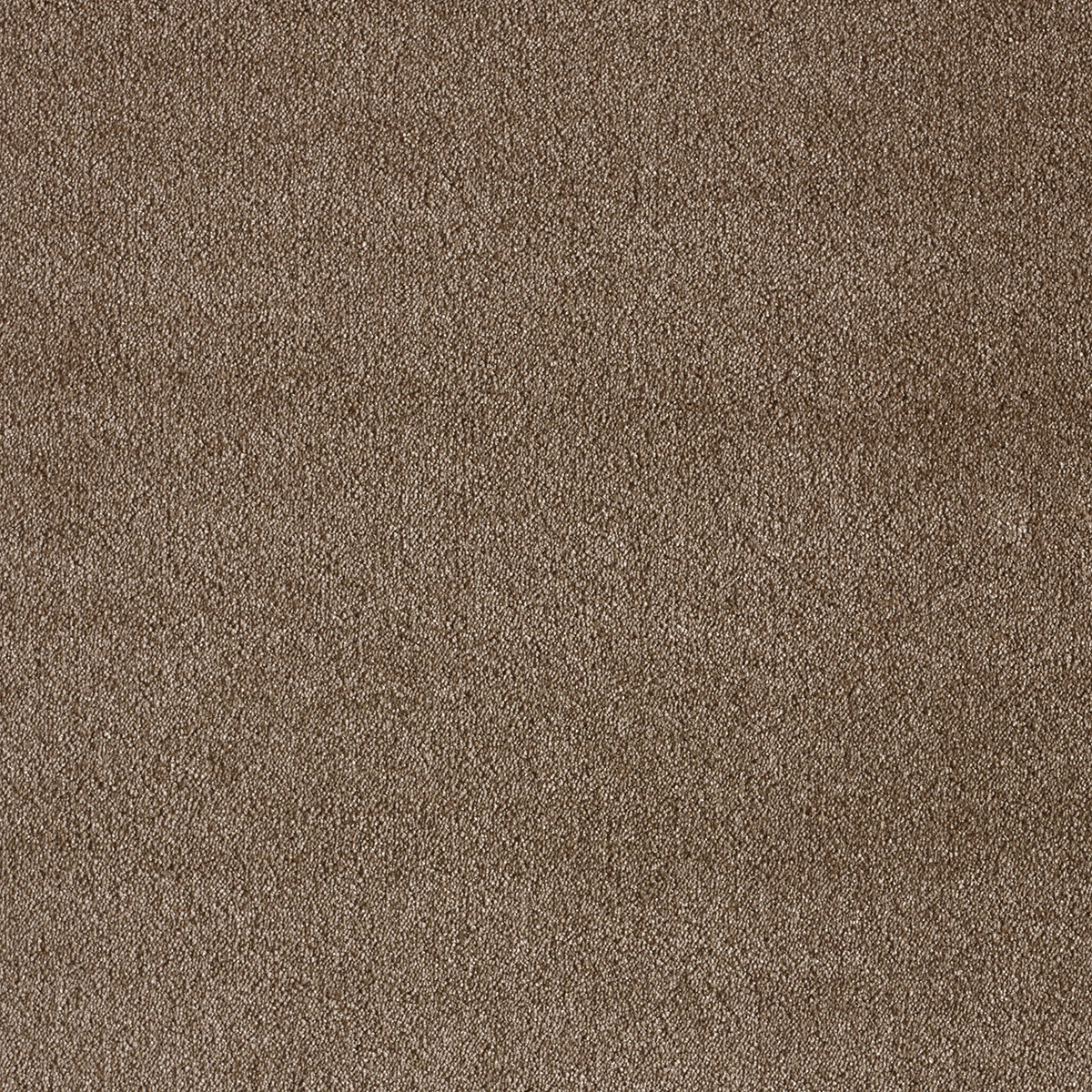 Ковролин AW Sensualite Seduction (Седуктион) 46