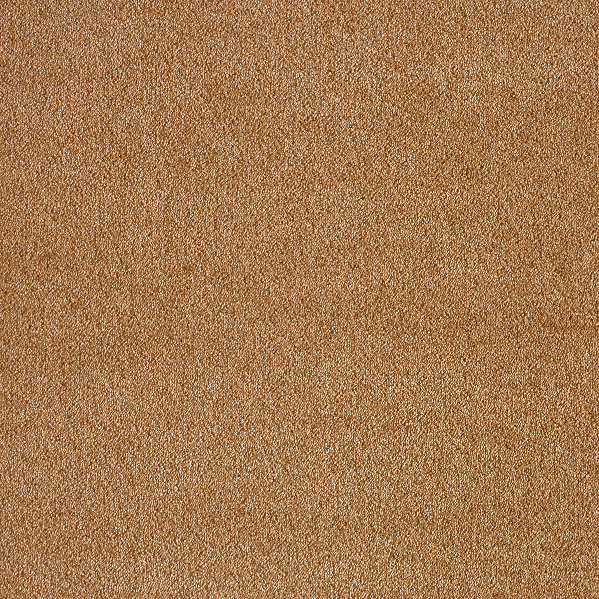 Ковролин AW Sensualite Seduction (Седуктион) 80