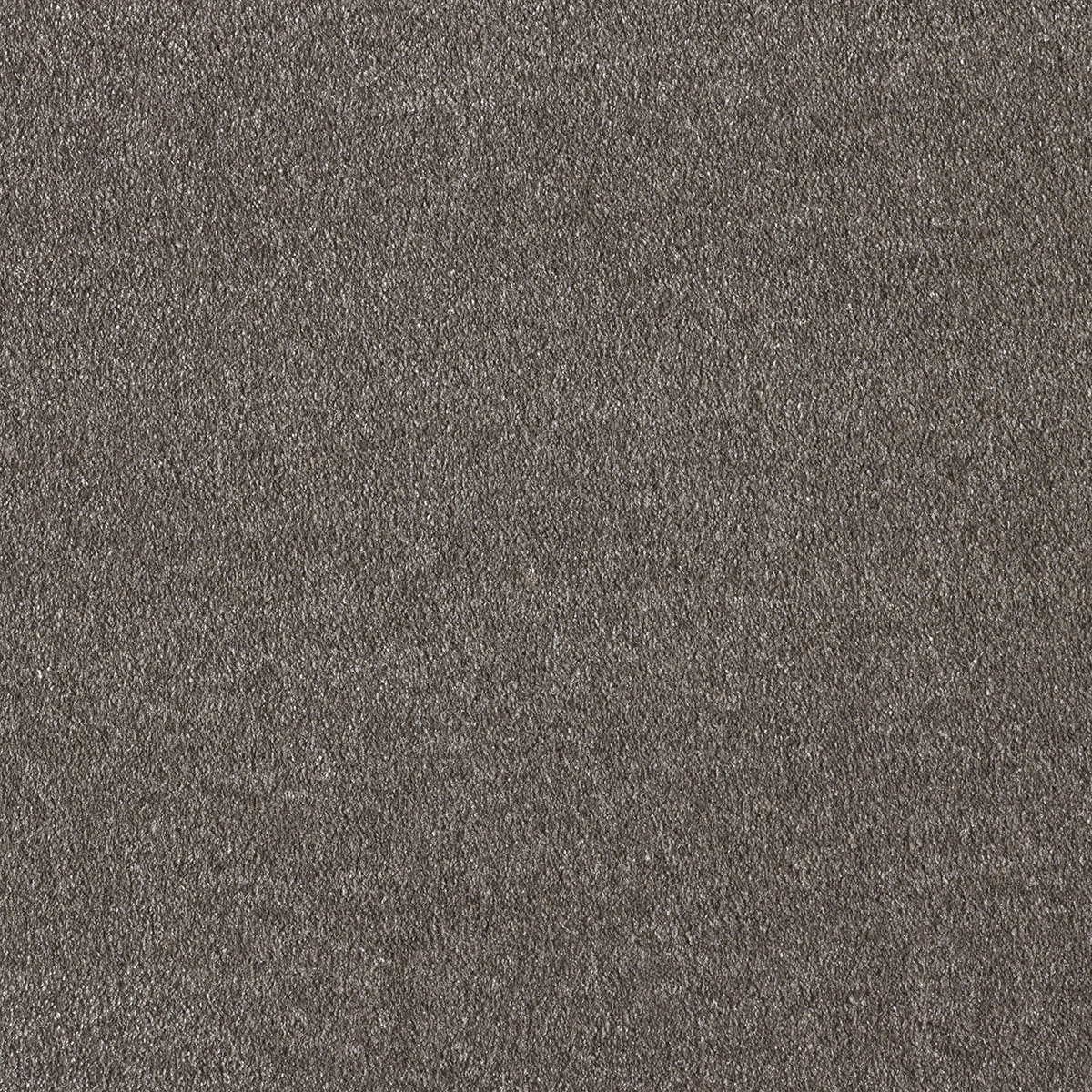 Ковролин AW Sensualite Obsession (Обсешн) 43