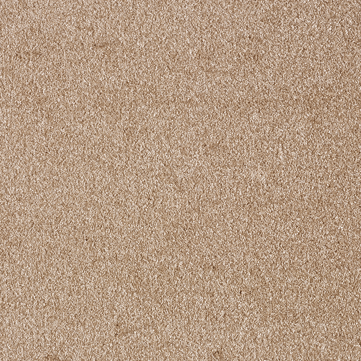 Ковролин AW Sensualite Sensation (Сенсатион) 41