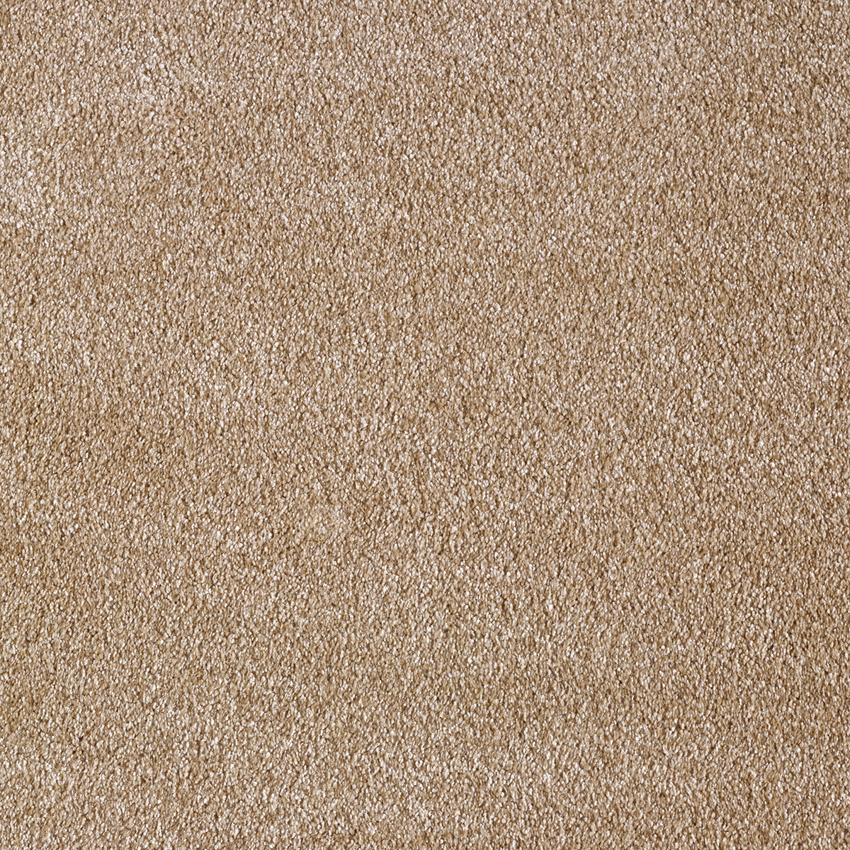 Ковролин AW Sensualite Secret (Сикрет) 43