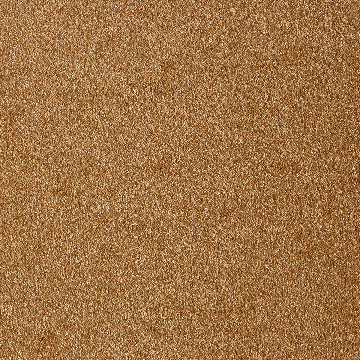 Ковролин AW Sensualite Sensation (Сенсатион) 84