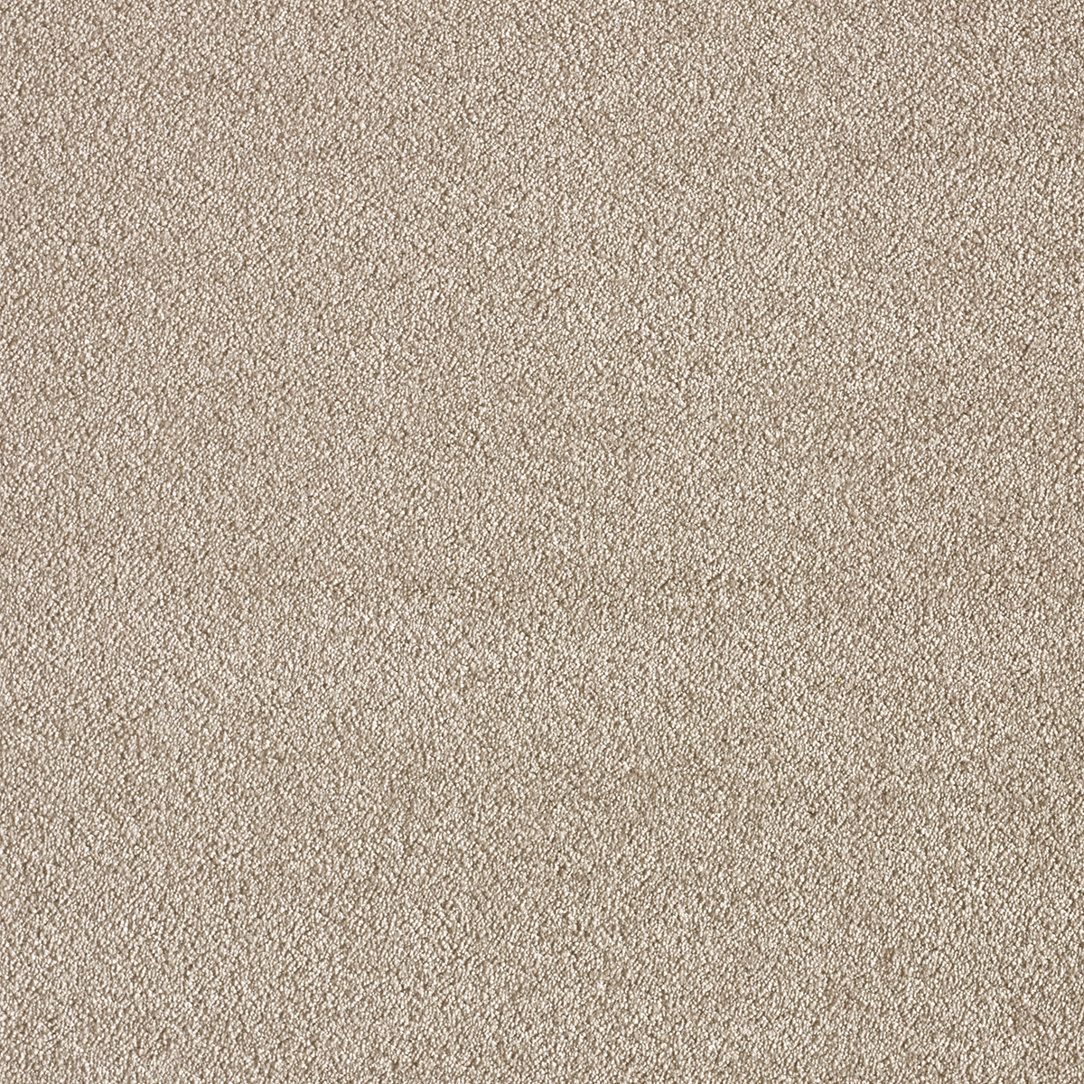 Ковролин AW Sensualite Seduction (Седуктион) 49