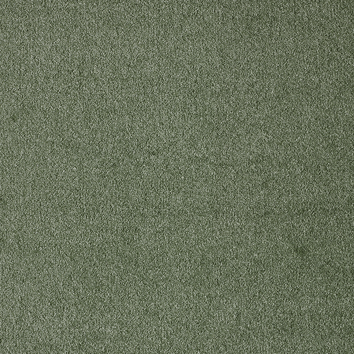 Ковролин AW Sensualite Seduction (Седуктион) 26