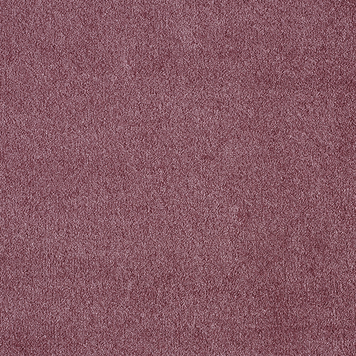 Ковролин AW Sensualite Seduction (Седуктион) 67