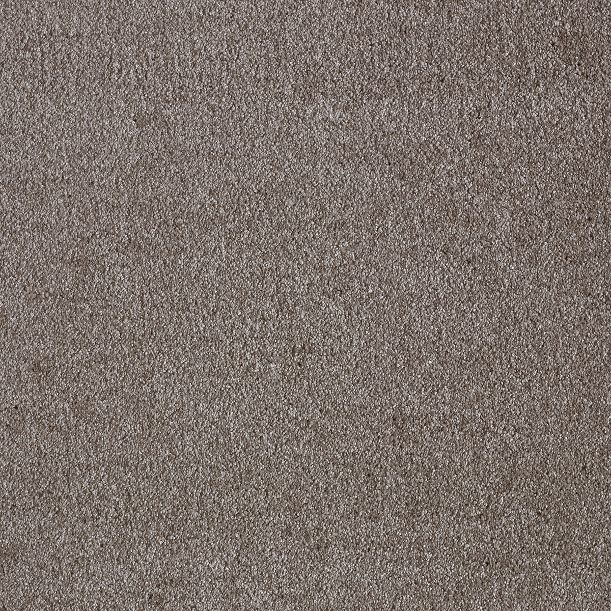 Ковролин AW Sensualite Sensation (Сенсатион) 44