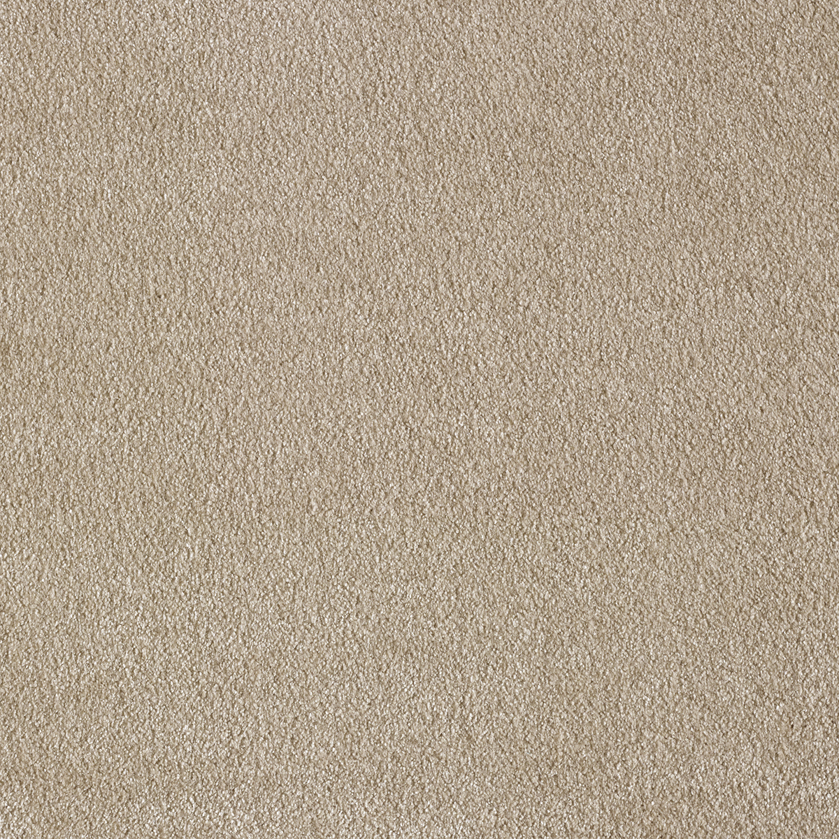 Ковролин AW Sensualite Obsession (Обсешн) 36