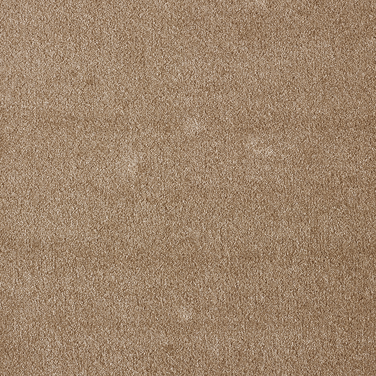 Ковролин AW Sensualite Seduction (Седуктион) 41