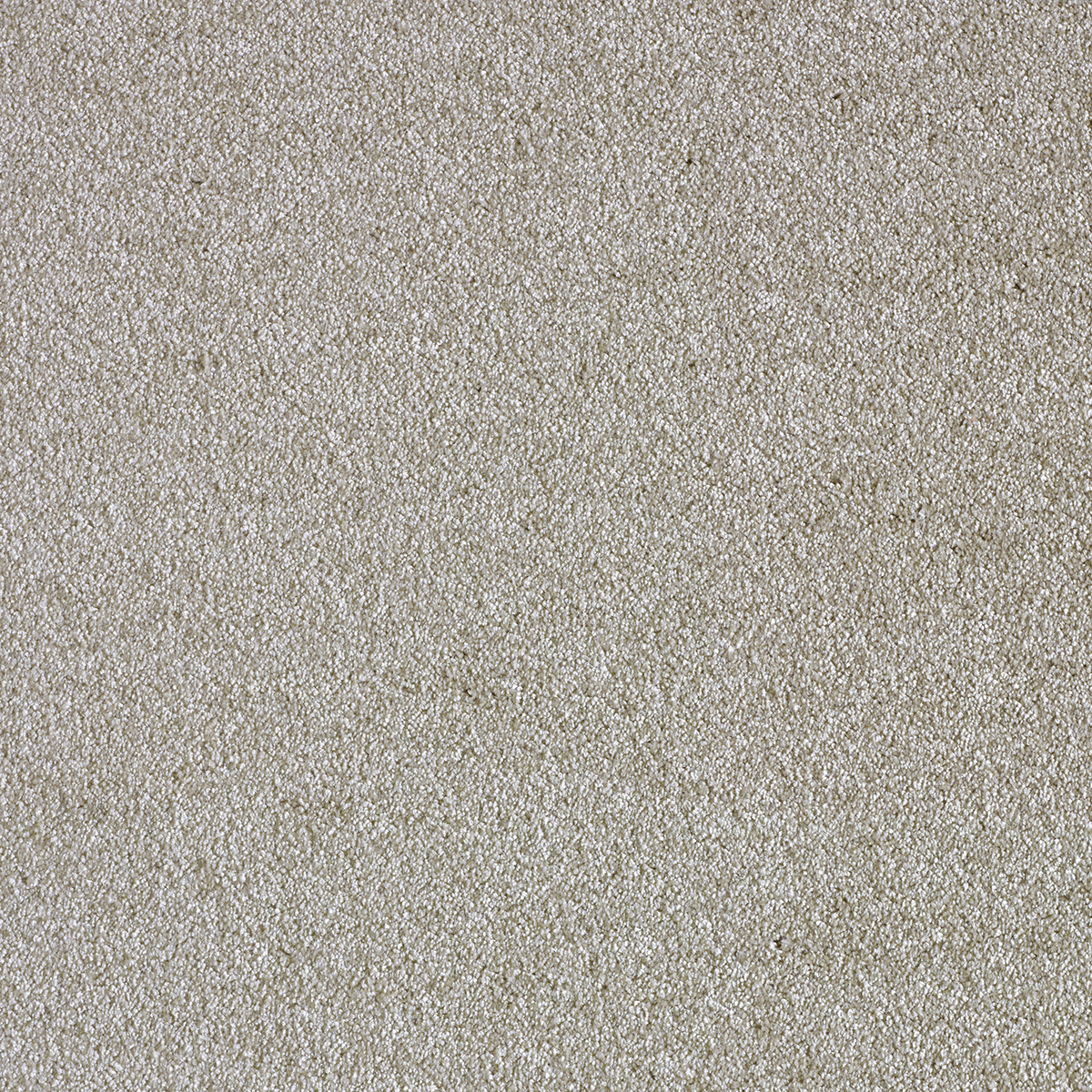 Ковролин AW Sensualite Sensation (Сенсатион) 49