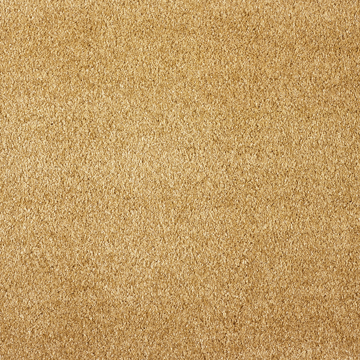 Ковролин AW Sensualite Scent (Сент) 54