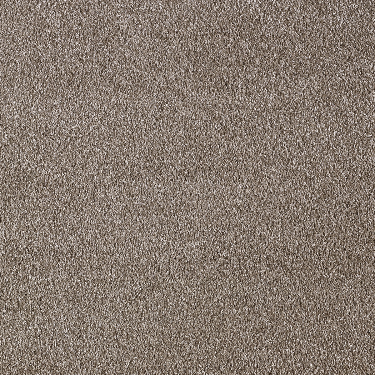 Ковролин AW Sensualite Secret (Сикрет) 44