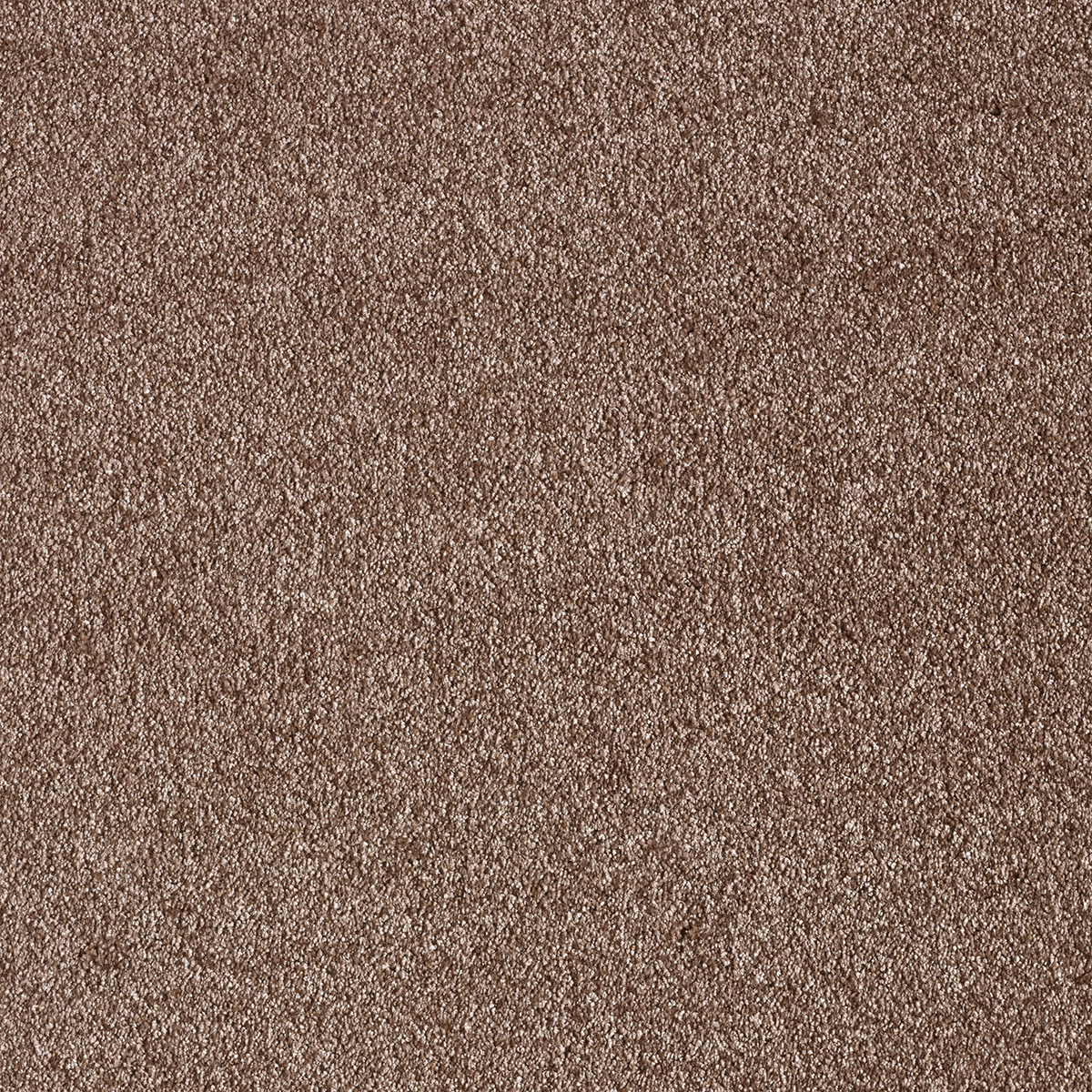 Ковролин AW Sensualite Sensation (Сенсатион) 45